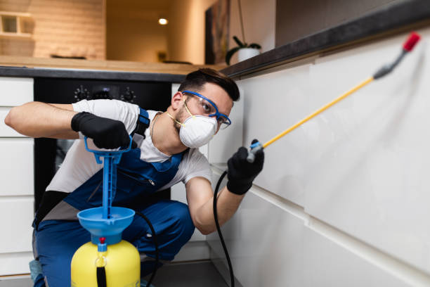 Professional Pest Control in Quinnesec, MI
