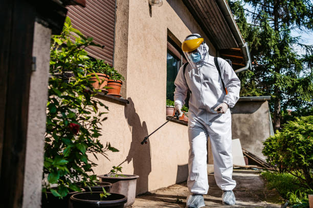 Best Pest Control Near Me  in Quinnesec, MI