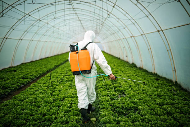 Best Pest Prevention Services  in Quinnesec, MI