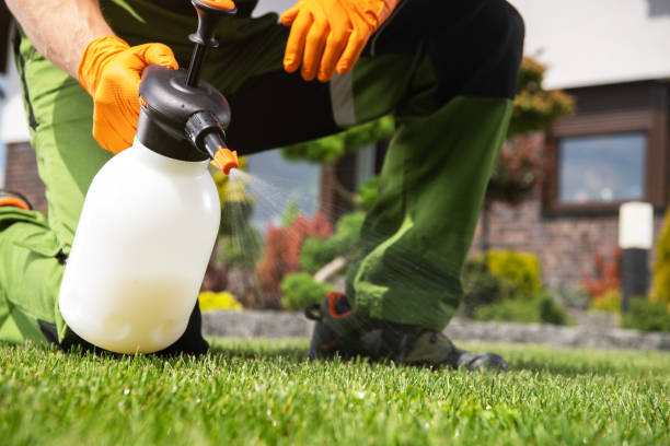 Best Pest Prevention Services  in Quinnesec, MI