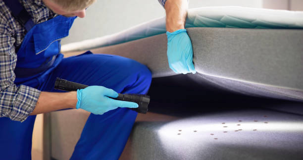 Best Flea Control Services  in Quinnesec, MI