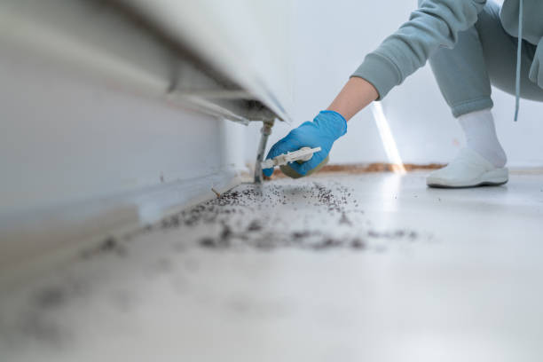Best Residential Pest Control  in Quinnesec, MI